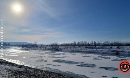 Чому не вдалось врятувати собаку на озері в Коломиї: роз'яснення ДСНС