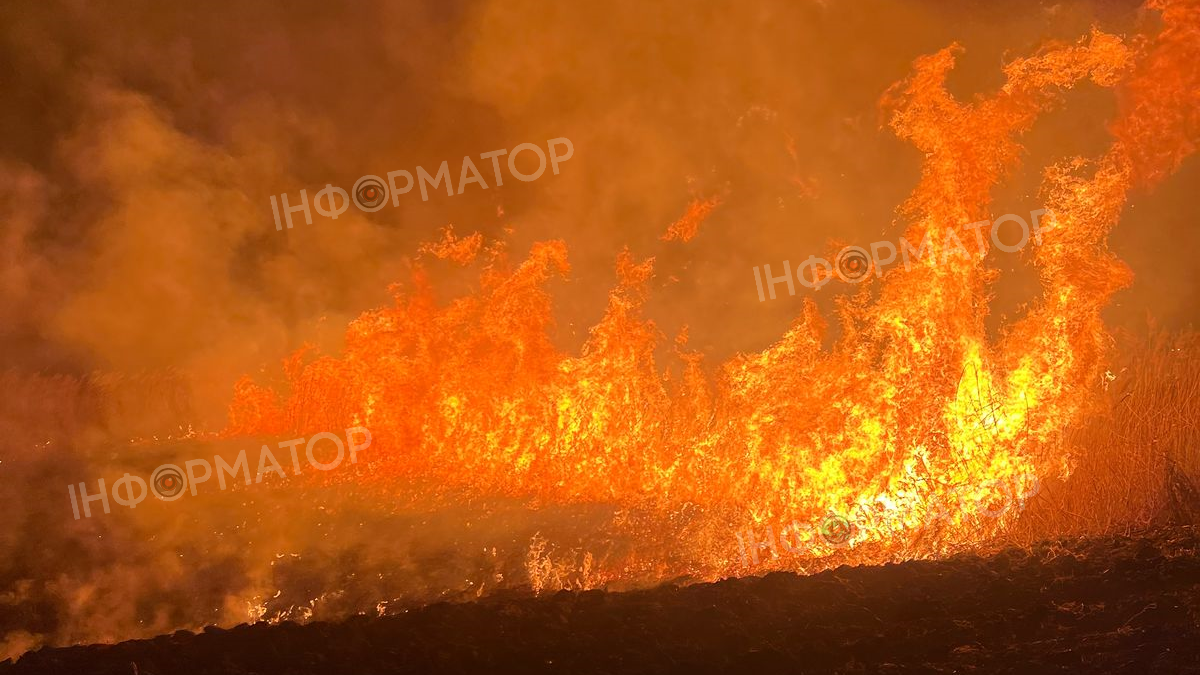 Скільки землі вигоріло на Коломийщині за минулу добу