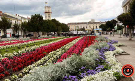 На чверть мільйона у Коломиї закуповують розсаду квітів