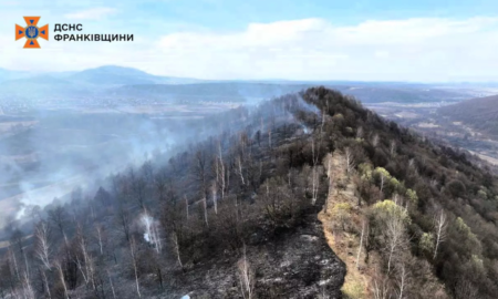 Масштабні пожежі по всій області: знову горить суха трава