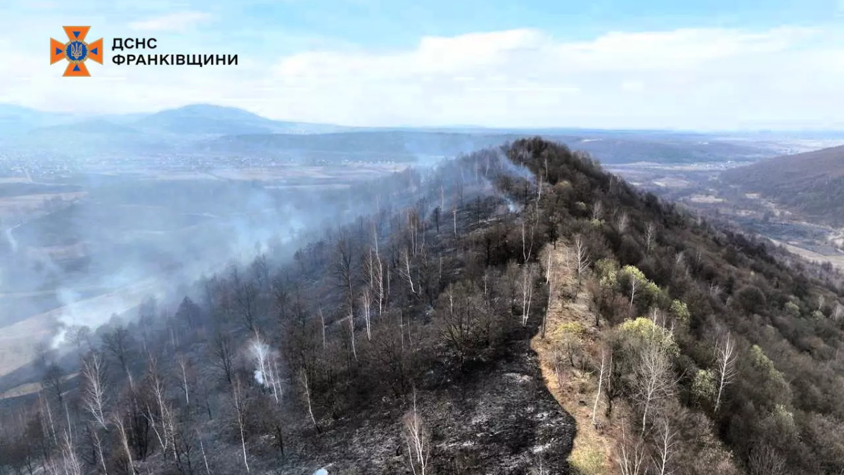 Масштабні пожежі по всій області: знову горить суха трава