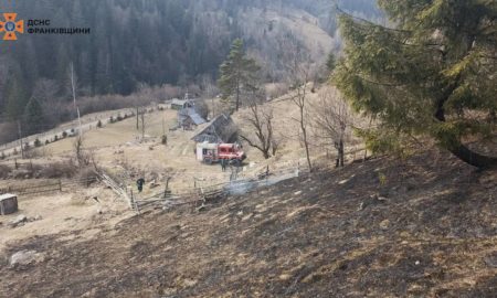 В трьох районах Прикарпаття - масштабні лісові пожежі: є загроза для населення