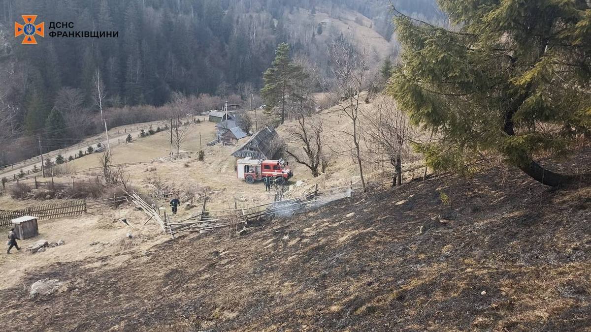 В трьох районах Прикарпаття - масштабні лісові пожежі: є загроза для населення